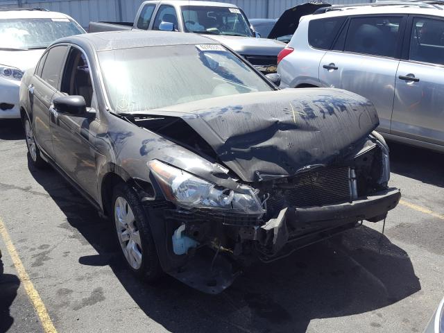 HONDA ACCORD EXL 2010 1hgcp3f86aa001139