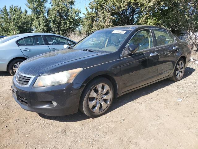 HONDA ACCORD EXL 2010 1hgcp3f86aa007555