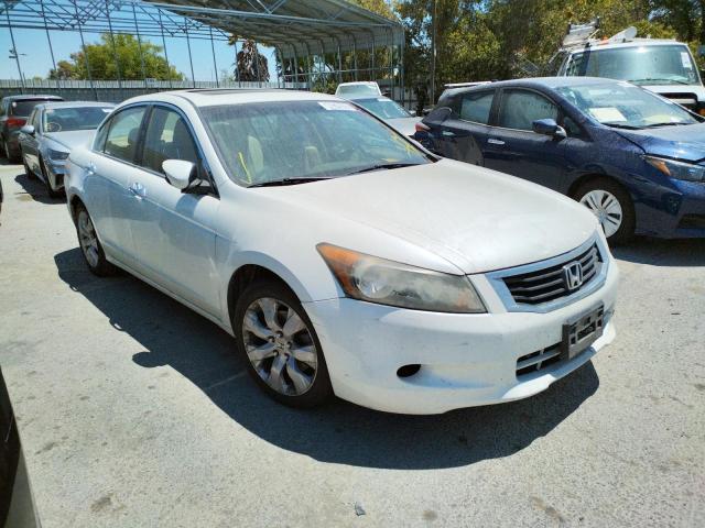 HONDA ACCORD EXL 2010 1hgcp3f86aa009094