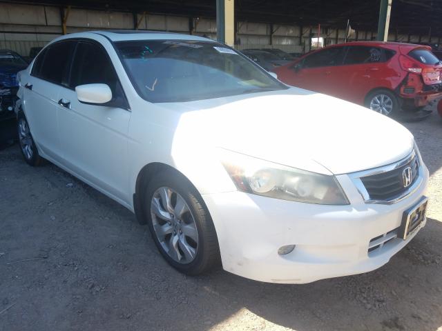 HONDA ACCORD EXL 2010 1hgcp3f86aa015770