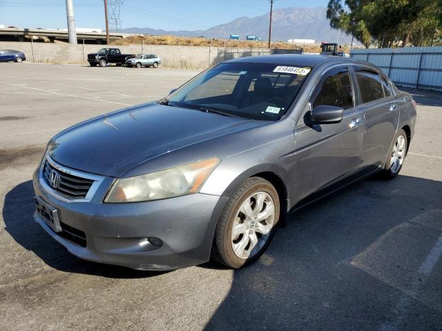 HONDA ACCORD EXL 2010 1hgcp3f86aa016532