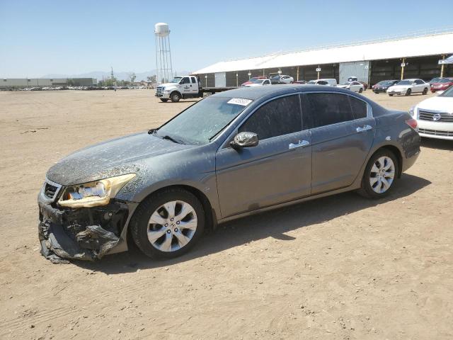 HONDA ACCORD EXL 2010 1hgcp3f86aa020855