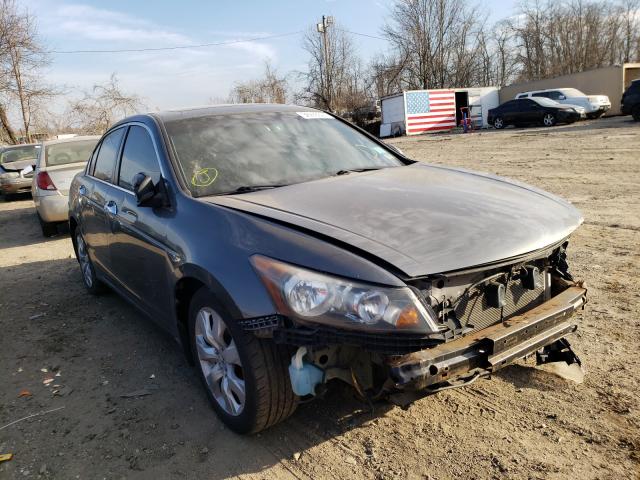 HONDA ACCORD EXL 2010 1hgcp3f86aa020984