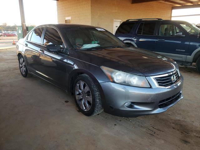 HONDA ACCORD EXL 2010 1hgcp3f86aa023061