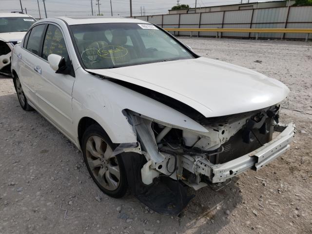 HONDA ACCORD EXL 2010 1hgcp3f86aa023951