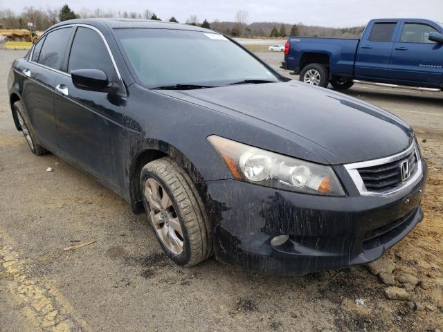 HONDA ACCORD EXL 2010 1hgcp3f86aa024002