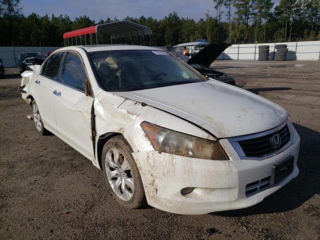 HONDA ACCORD EXL 2010 1hgcp3f86aa026929