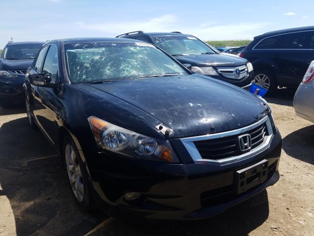 HONDA ACCORD EXL 2010 1hgcp3f86aa800497