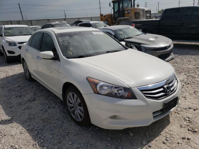 HONDA ACCORD EXL 2011 1hgcp3f86ba000221