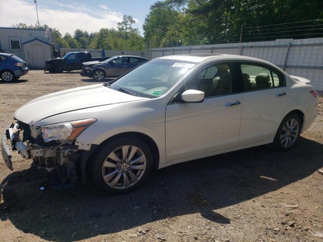 HONDA ACCORD EXL 2011 1hgcp3f86ba000798