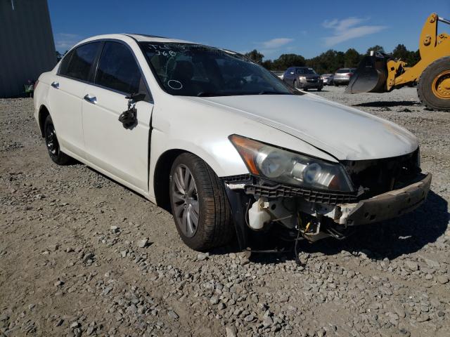 HONDA ACCORD EXL 2011 1hgcp3f86ba006178