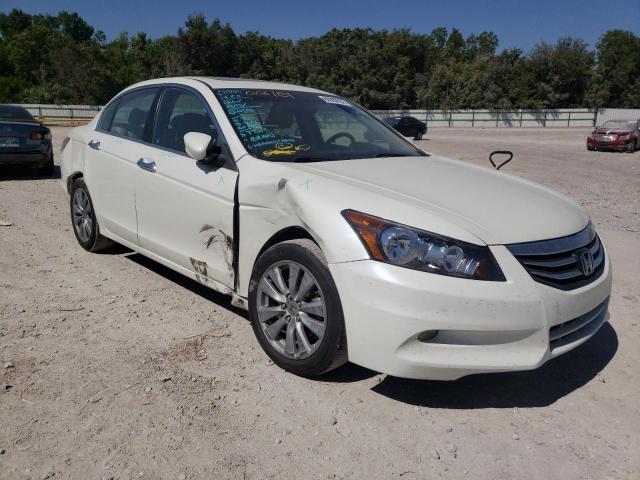 HONDA ACCORD EXL 2011 1hgcp3f86ba006181