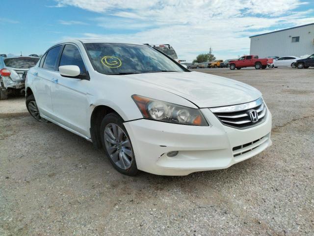 HONDA ACCORD EXL 2011 1hgcp3f86ba009565