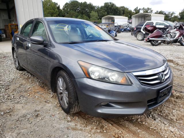 HONDA ACCORD EXL 2011 1hgcp3f86ba010019