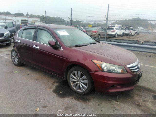 HONDA ACCORD SDN 2011 1hgcp3f86ba010229