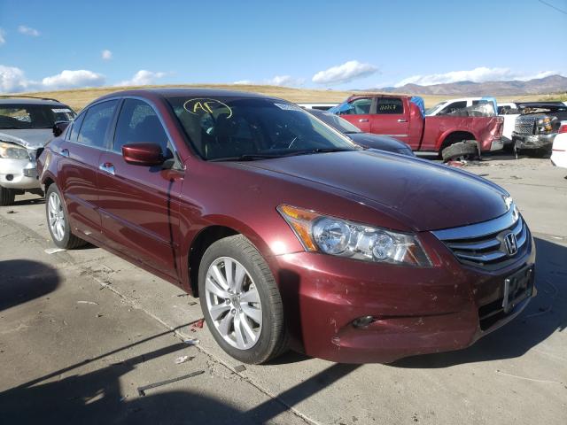 HONDA ACCORD EXL 2011 1hgcp3f86ba010232