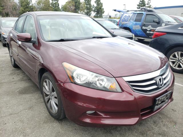 HONDA ACCORD EXL 2011 1hgcp3f86ba010795