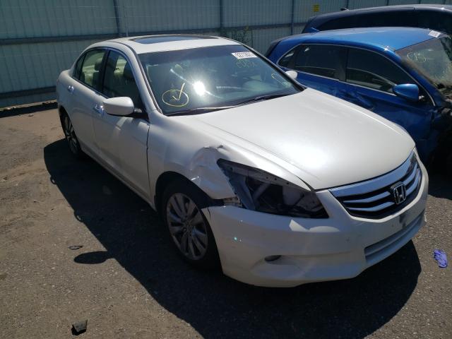 HONDA ACCORD EXL 2011 1hgcp3f86ba011557