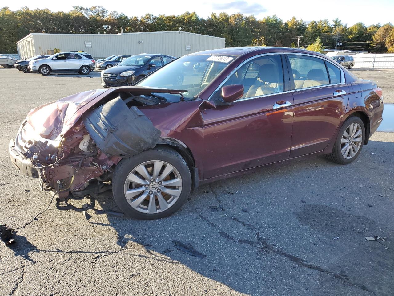 HONDA ACCORD 2011 1hgcp3f86ba011672