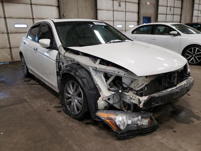 HONDA ACCORD EXL 2011 1hgcp3f86ba011736