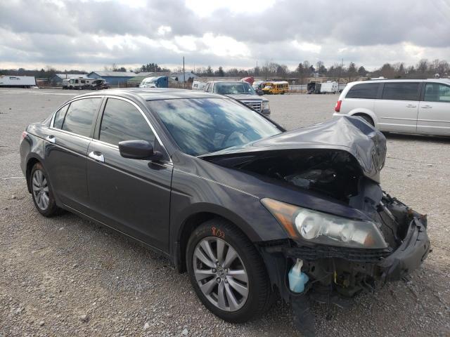 HONDA ACCORD EXL 2011 1hgcp3f86ba013101