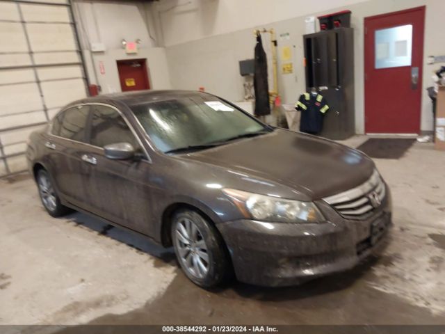 HONDA ACCORD 2011 1hgcp3f86ba013650