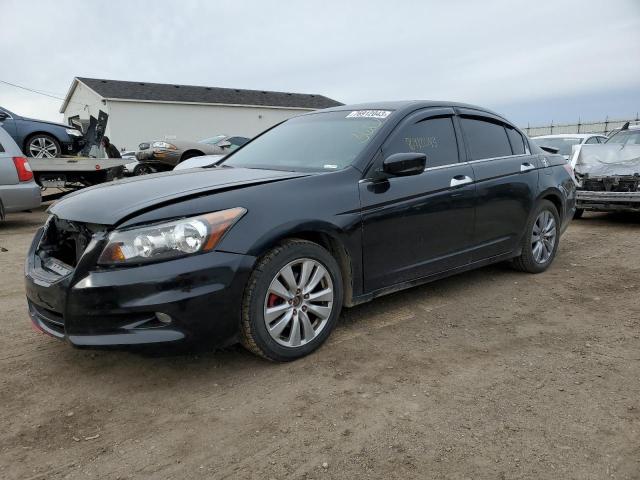 HONDA ACCORD 2011 1hgcp3f86ba014183