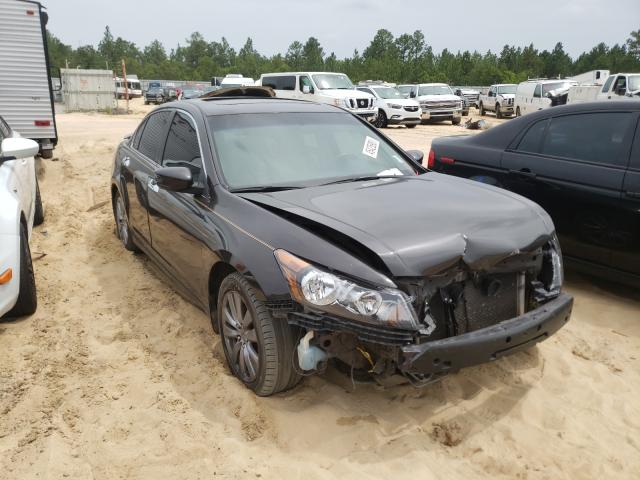 HONDA ACCORD EXL 2011 1hgcp3f86ba017021