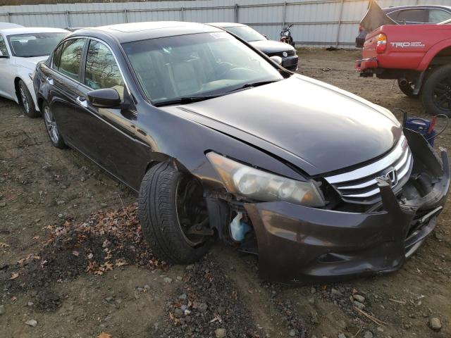 HONDA ACCORD EXL 2011 1hgcp3f86ba018427