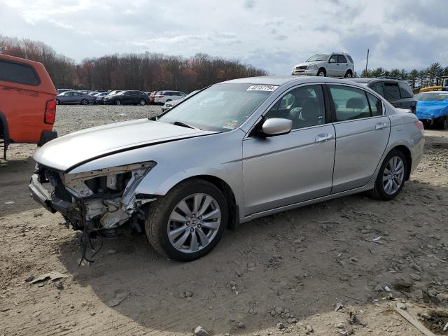 HONDA ACCORD 2011 1hgcp3f86ba019688