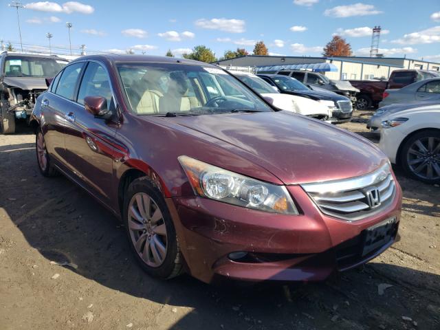 HONDA ACCORD EXL 2011 1hgcp3f86ba019772