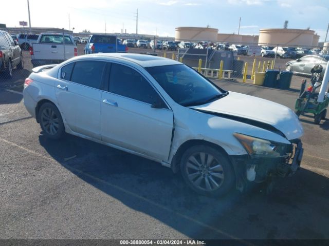 HONDA ACCORD 2011 1hgcp3f86ba020243