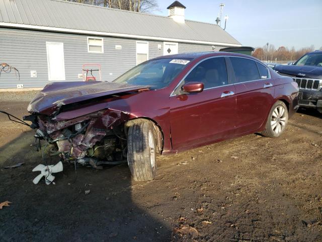 HONDA ACCORD 2011 1hgcp3f86ba020680