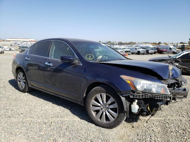 HONDA ACCORD EXL 2011 1hgcp3f86ba021456