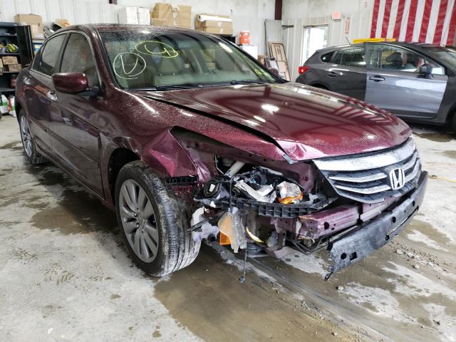 HONDA ACCORD EXL 2011 1hgcp3f86ba022056