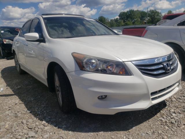 HONDA ACCORD EXL 2011 1hgcp3f86ba023451