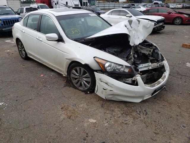 HONDA ACCORD EXL 2011 1hgcp3f86ba023482