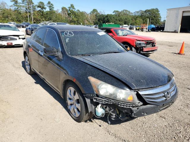 HONDA ACCORD EXL 2011 1hgcp3f86ba025930