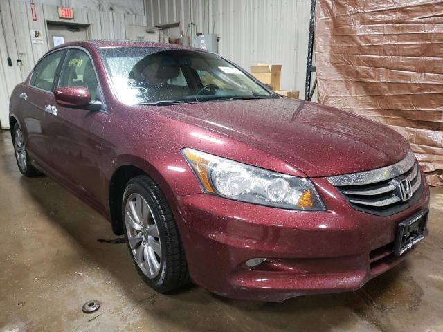 HONDA ACCORD EXL 2011 1hgcp3f86ba029282