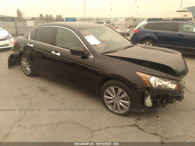 HONDA ACCORD SDN 2011 1hgcp3f86ba029394