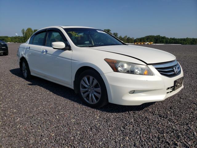 HONDA ACCORD EXL 2011 1hgcp3f86ba030156