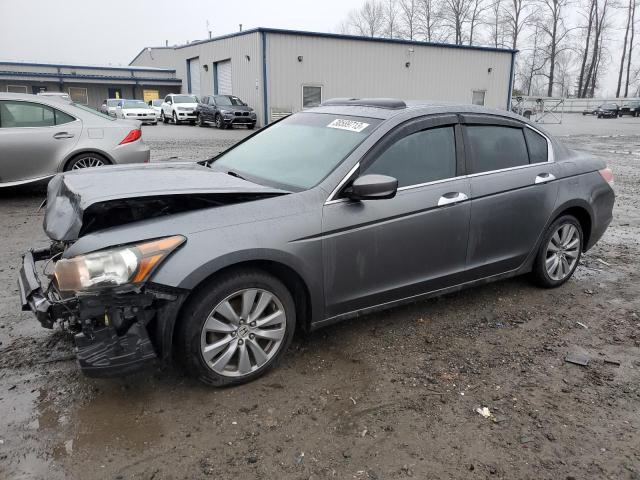 HONDA ACCORD EXL 2011 1hgcp3f86ba030321