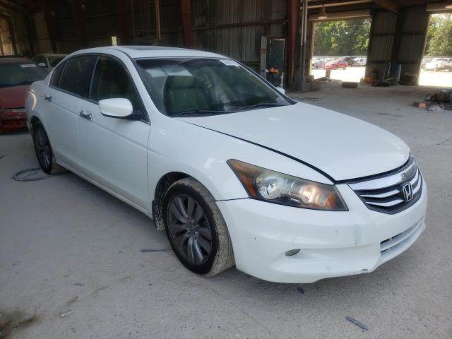 HONDA ACCORD EXL 2011 1hgcp3f86ba031579