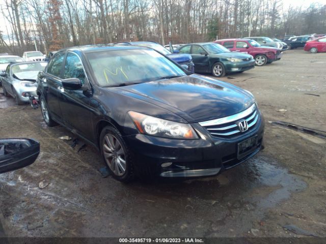 HONDA ACCORD 2011 1hgcp3f86ba032022