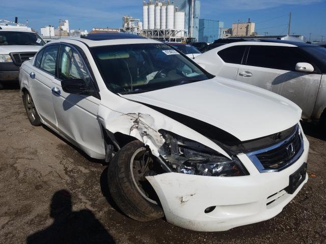 HONDA ACCORD EXL 2010 1hgcp3f87aa007399