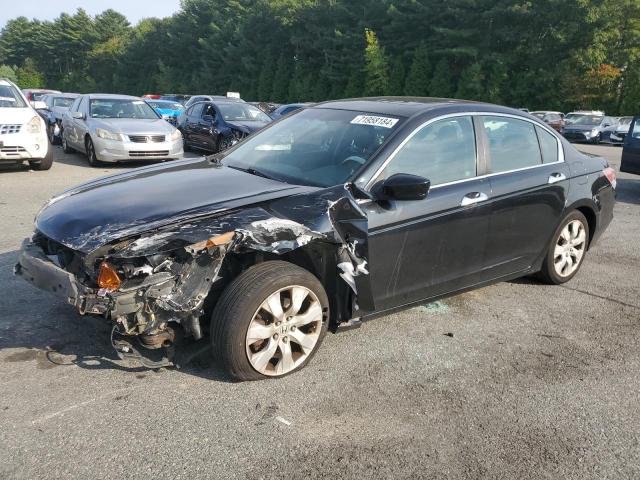 HONDA ACCORD EXL 2010 1hgcp3f87aa015535