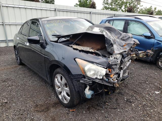 HONDA ACCORD EXL 2010 1hgcp3f87aa025028