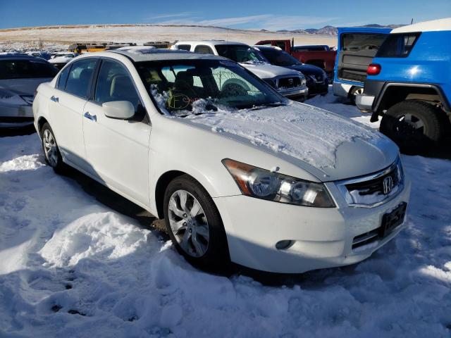 HONDA ACCORD EXL 2010 1hgcp3f87aa031766