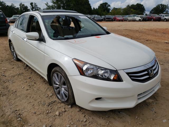 HONDA ACCORD EXL 2011 1hgcp3f87ba000194