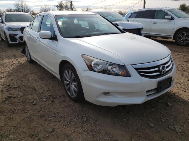 HONDA ACCORD EXL 2011 1hgcp3f87ba003645